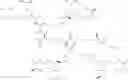 Fig. 28 - Dendronized polymers for nucleic acid delivery