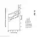 Fig. 22 - Lipid Formulated Compositions and Methods for Inhibiting Expression of Eg5 And VEGF Genes