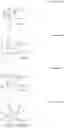 Fig. 09 - NICOTINIC RECEPTOR NON-COMPETITIVE ANTAGONISTS