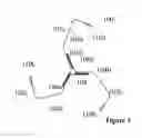 Fig. 02 - Dynamic bio-nanoparticle platforms