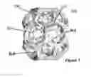 Fig. 04 - Dynamic bio-nanoparticle platforms