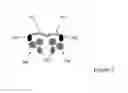 Fig. 06 - Dynamic bio-nanoparticle platforms