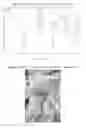 Fig. 04 - Polyacetylene and chlorinated polyacetylene and production processes thereof
