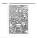 Fig. 05 - Polyacetylene and chlorinated polyacetylene and production processes thereof