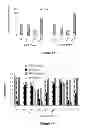 Fig. 06 - CYSTEINE ENGINEERED ANTIBODIES AND CONJUGATES