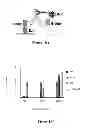 Fig. 12 - CYSTEINE ENGINEERED ANTIBODIES AND CONJUGATES
