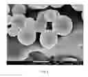 Fig. 07 - Processes for producing protein microparticles