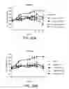 Fig. 22 - ANTISENSE DESIGN