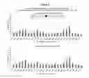 Fig. 09 - Methods and compositions for the specific inhibition of beta-catenin by double stranded RNA