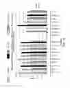 Fig. 19 - Compositions and methods for nucleic acid extraction