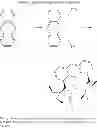 Fig. 72 - Process for preparing amines from alcohols and ammonia