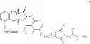 Fig. 02 - Process of making prostacyclin compounds with linker thiol and pegylated forms