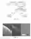 Fig. 09 - METHOD AND APPARATUS FOR QUANTITATIVE IMAGING OF BLOOD PERFUSION IN LIVING TISSUE