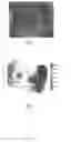 Fig. 06 - System and device for tumor characterization using nonlinear elastography imaging