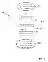 Fig. 03 - Multi-channel cardiac measurements
