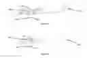 Fig. 08 - Method, apparatus, and system for expression and quantification of human breast milk