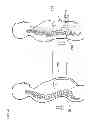 Fig. 09 - Supporter