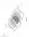 Fig. 08 - Micropatterned textile for fluid transport