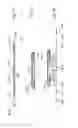 Fig. 04 - On the fly size change apparatus and process for articles to be worn on the lower torso of a wearer and such articles