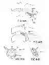 Fig. 35 - Vertebral joint implants and delivery tools