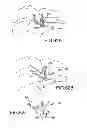 Fig. 53 - Vertebral joint implants and delivery tools