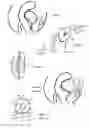 Fig. 07 - Methods for Anchoring Suture and Approximating Tissue