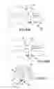 Fig. 40 - Vertebral joint implants and delivery tools