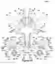 Fig. 43 - Closed-loop vagus nerve stimulation