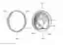 Fig. 01 - Artificial valved conduits for cardiac reconstructive procedures and methods for their production