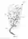 Fig. 44 - Methods and apparatus for improved interface between the human body and prosthetic or similar devices