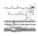 Fig. 01 - Removing noise from a seismic measurement