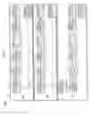 Fig. 02 - Method for generating updated vehicle wiring harness diagrams