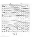 Fig. 02 - Fiber placement optimization for steered-fiber plies
