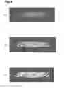 Fig. 10 - ANALYSIS DEVICE, ANALYSIS METHOD, ANALYSIS PROGRAM, AND RECORDING MEDIUM