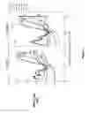 Fig. 08 - Systems and methods for enhancing place-of-articulation features in frequency-lowered speech