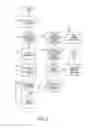 Fig. 03 - Systems and methods for providing an inducement to purchase incident to a physician's prescription of medication