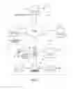 Fig. 08 - Systems and methods for providing an inducement to purchase incident to a physician's prescription of medication