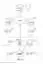 Fig. 14 - Systems and methods for providing an inducement to purchase incident to a physician's prescription of medication