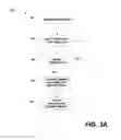 Fig. 04 - Categorization of information using natural language processing and predefined templates