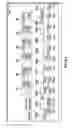 Fig. 25 - SYSTEMS AND METHODS FOR GENERATING CUSTOM REPORTS BASED ON POINT-OF-SALE DATA