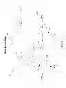 Fig. 06 - EMAILED PURCHASE RECEIPT