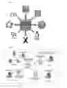 Fig. 03 - DIGITAL NOTIFICATION ENHANCEMENT SYSTEM