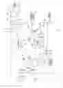 Fig. 02 - Method of forming a detection circuit and structure therefor