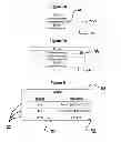 Fig. 06 - METHODS, SYSTEMS AND APPARATUSES FOR MANAGING THE PRESENTATION OF INFORMATION