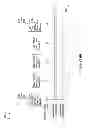 Fig. 09 - Altering event lifetimes