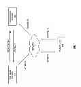 Fig. 02 - Personal video channels