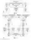 Fig. 24 - FACILITATING REVIEW OF ACCESS RIGHTS IN A COMPUTING SYSTEM