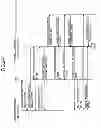 Fig. 23 - Circuit device and a communication apparatus