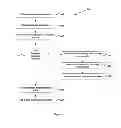 Fig. 04 - System and method for processing user interface events