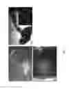 Fig. 02 - Method for producing tissue and organ